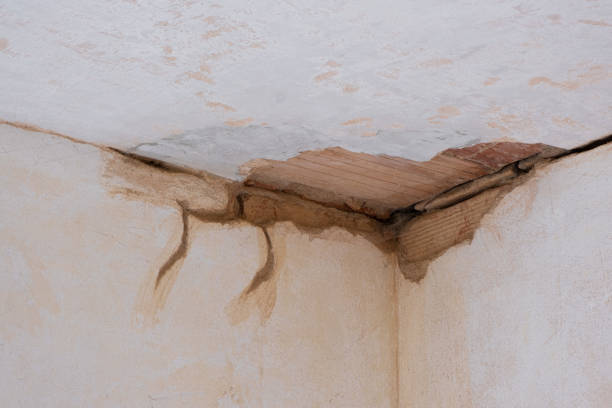 Best Commercial water damage restoration  in Surprise, AZ