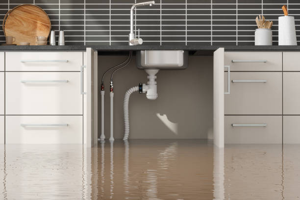 Best Flood restoration services  in Surprise, AZ