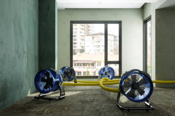 Best Water damage restoration insurance claims  in Surprise, AZ