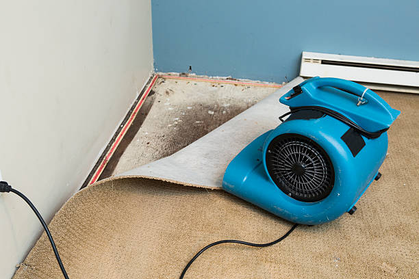 Best Residential water damage restoration  in Surprise, AZ